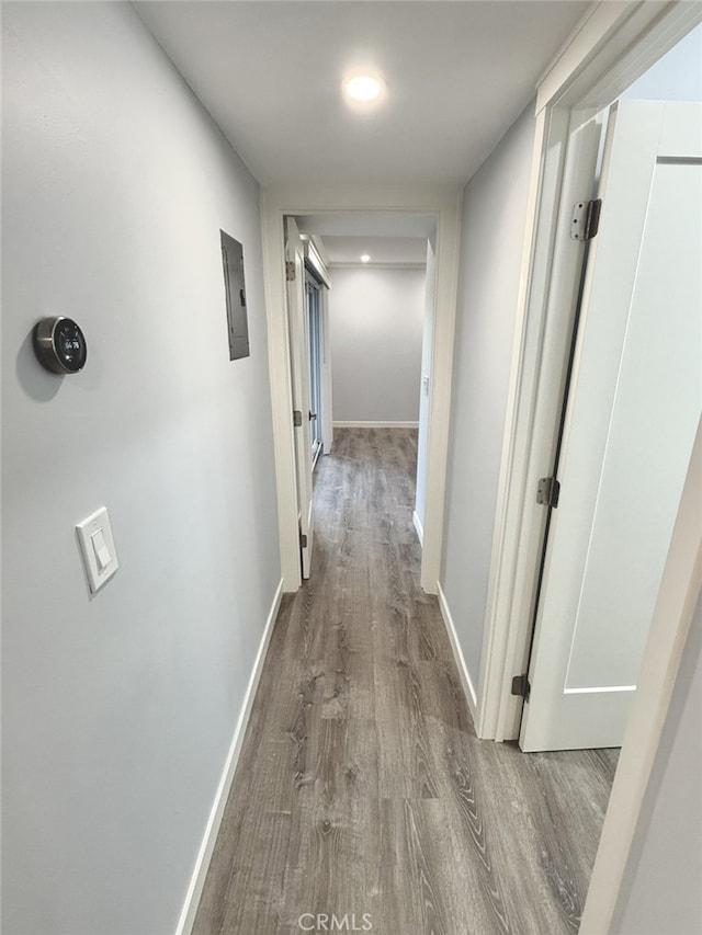 hallway featuring wood-type flooring