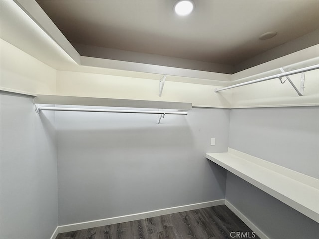 walk in closet with dark wood-type flooring