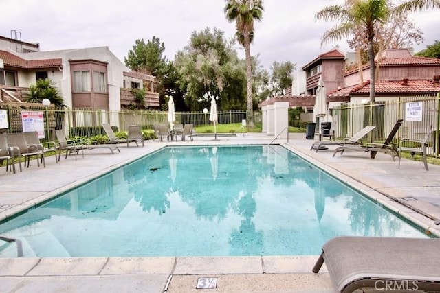 view of pool featuring a patio area