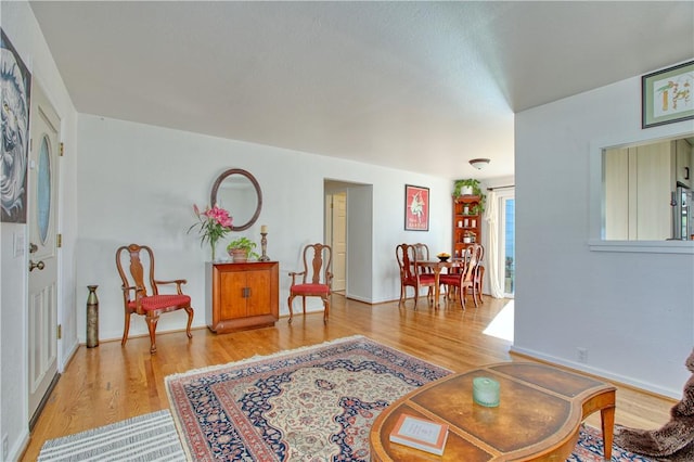 living room with light wood-type flooring