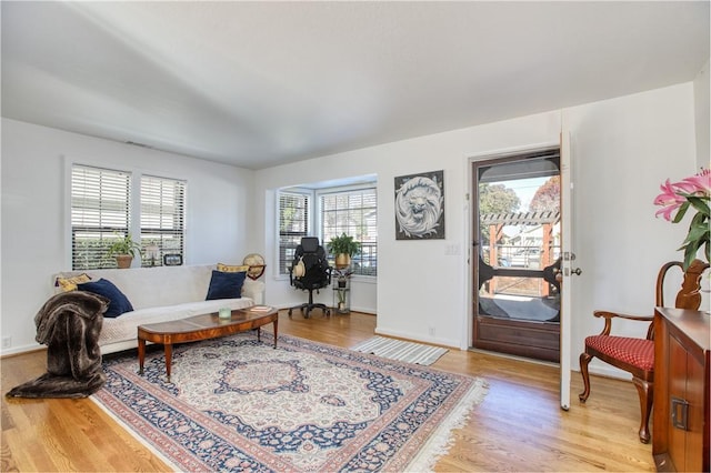 living room featuring light hardwood / wood-style floors