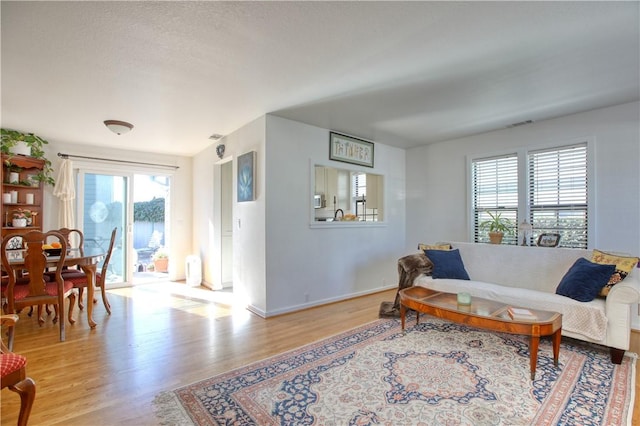 living room featuring light hardwood / wood-style flooring and a healthy amount of sunlight