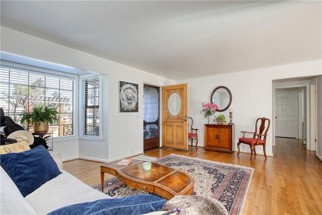 living room with light hardwood / wood-style floors