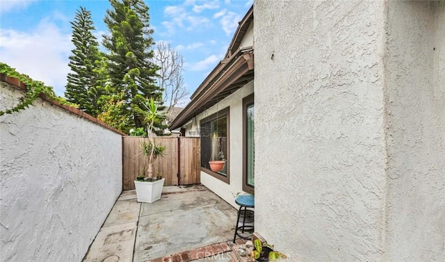 view of home's exterior featuring a patio area