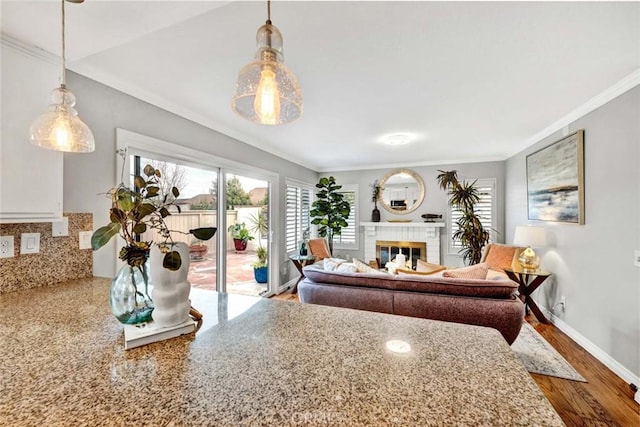 interior space featuring ornamental molding, wood-type flooring, access to outside, and a fireplace