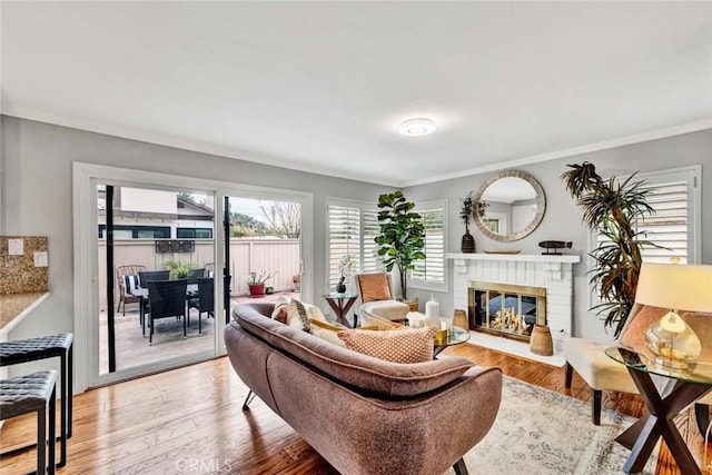 living room featuring ornamental molding, wood-type flooring, and a fireplace