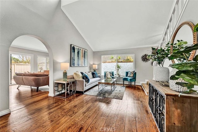 living room with hardwood / wood-style floors and high vaulted ceiling