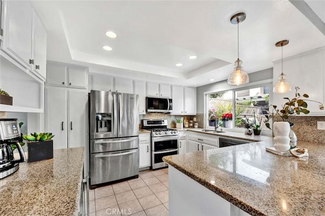 kitchen featuring stone counters, stainless steel appliances, a tray ceiling, and white cabinets