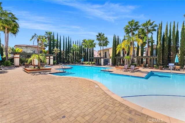 view of swimming pool with a patio area