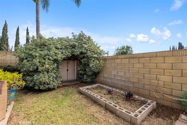 view of yard with a shed