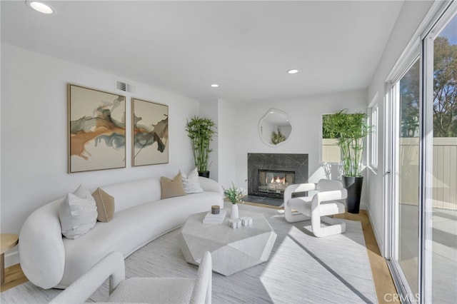 living room with a premium fireplace and light hardwood / wood-style flooring