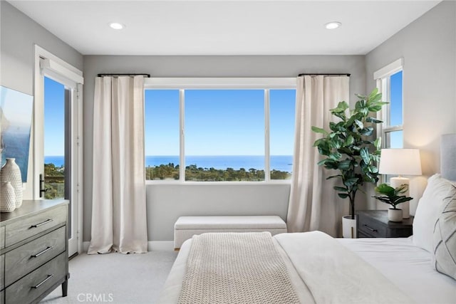 carpeted bedroom featuring a water view