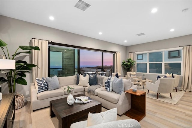 living room featuring light hardwood / wood-style floors