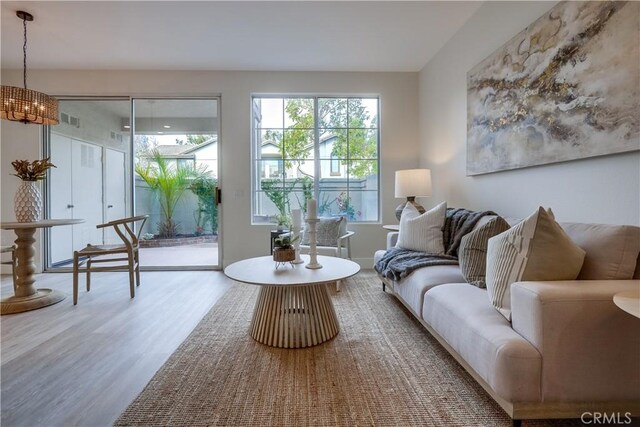 living room featuring wood-type flooring