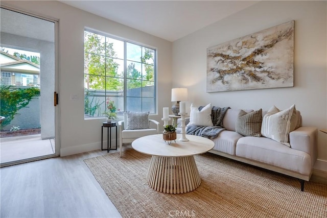 living room with hardwood / wood-style flooring