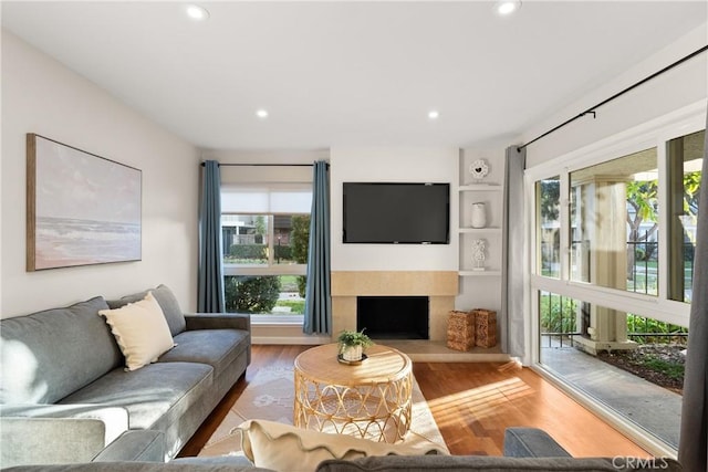 living room with wood-type flooring