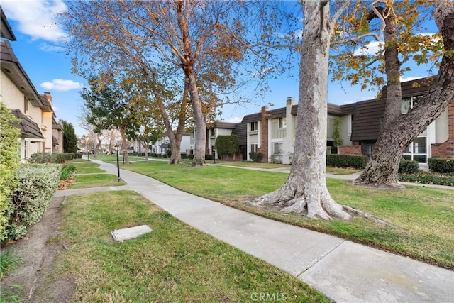 view of home's community with a yard