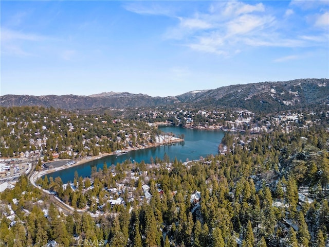 bird's eye view featuring a water and mountain view