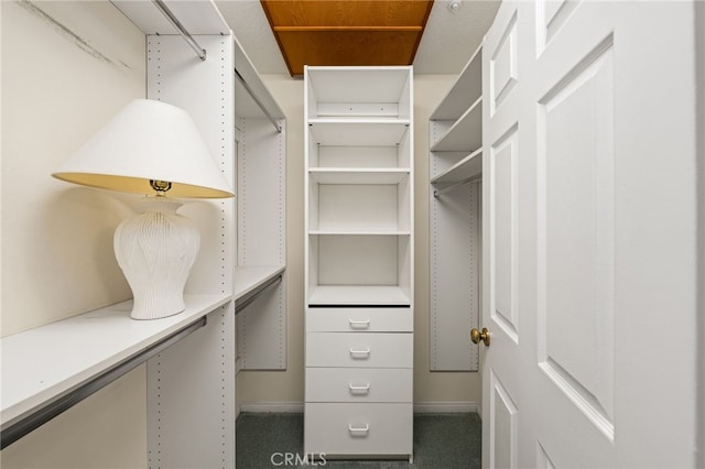 view of walk in closet