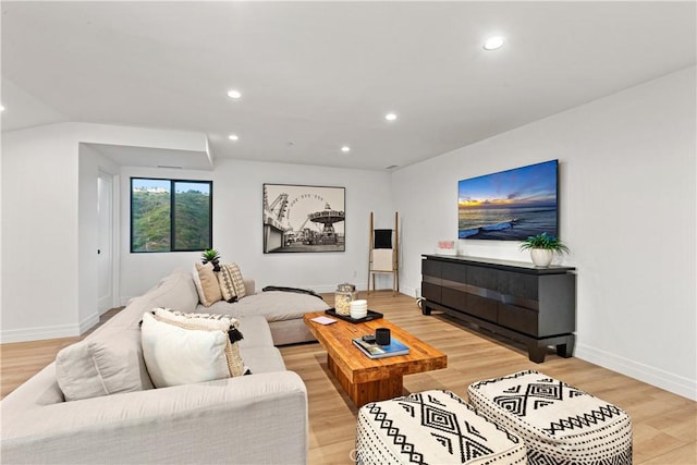 living room featuring wood-type flooring