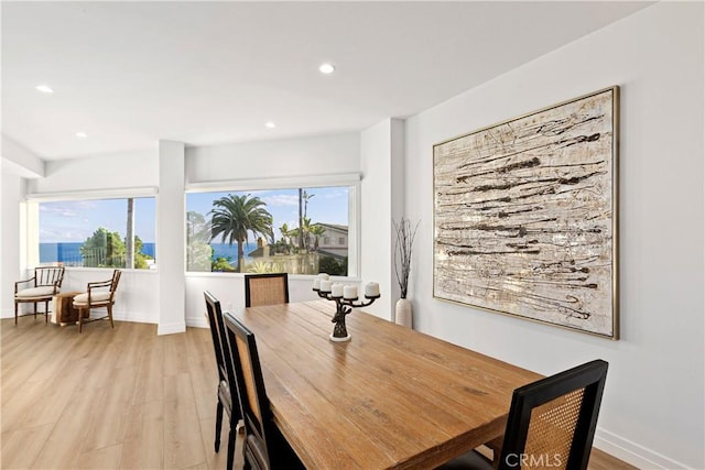 dining room with a healthy amount of sunlight and light hardwood / wood-style floors