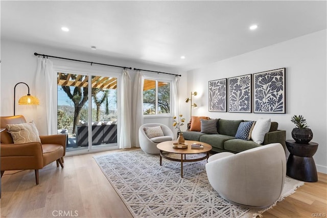 living room featuring hardwood / wood-style floors