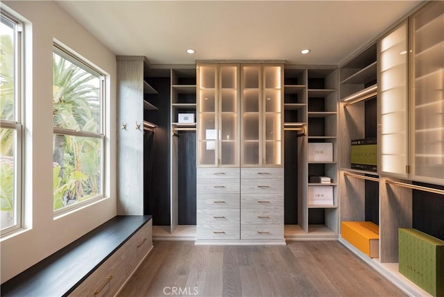 spacious closet with wood-type flooring