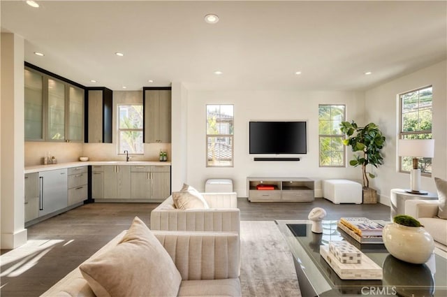 living room featuring sink and hardwood / wood-style floors