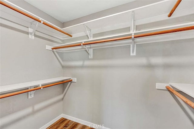 spacious closet with wood-type flooring