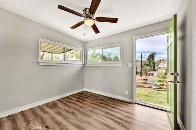 empty room featuring ceiling fan and wood-type flooring