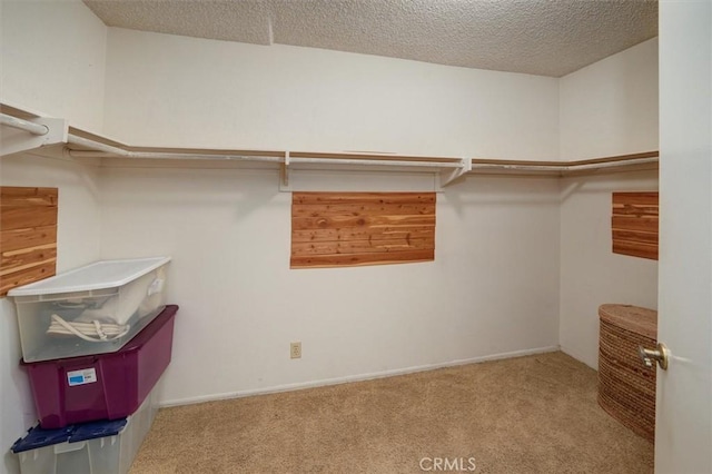 spacious closet with light colored carpet