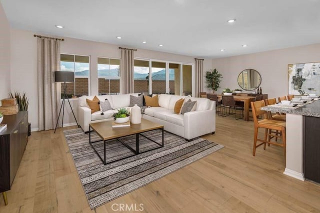 living room featuring light hardwood / wood-style floors