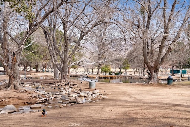 view of property's community featuring a water view