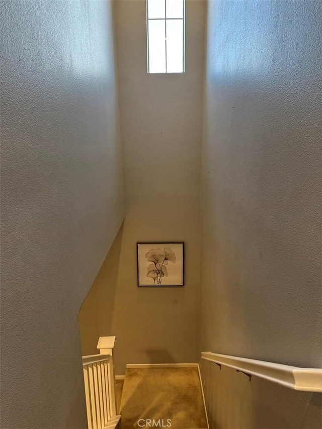 staircase with carpet