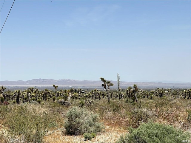 18 Wintergreen Rd, Phelan CA, 92372 land for sale