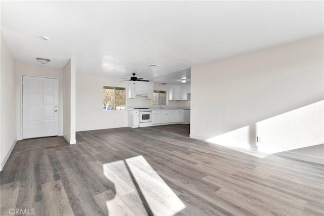 unfurnished living room featuring sink, wood-type flooring, and ceiling fan