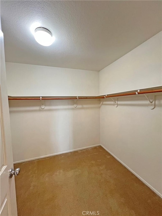 walk in closet with carpet