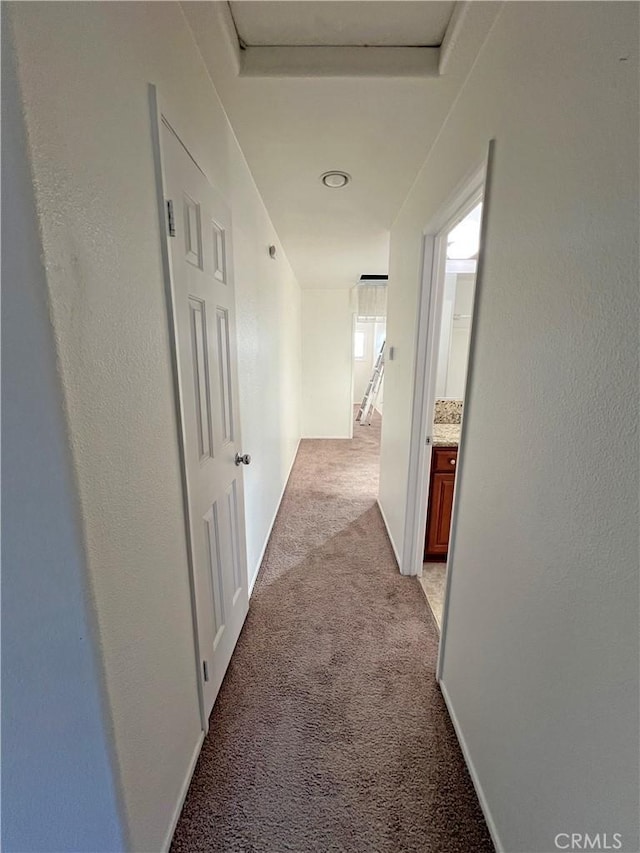 corridor featuring light colored carpet