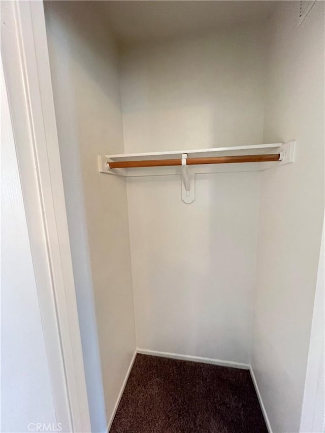 spacious closet with carpet