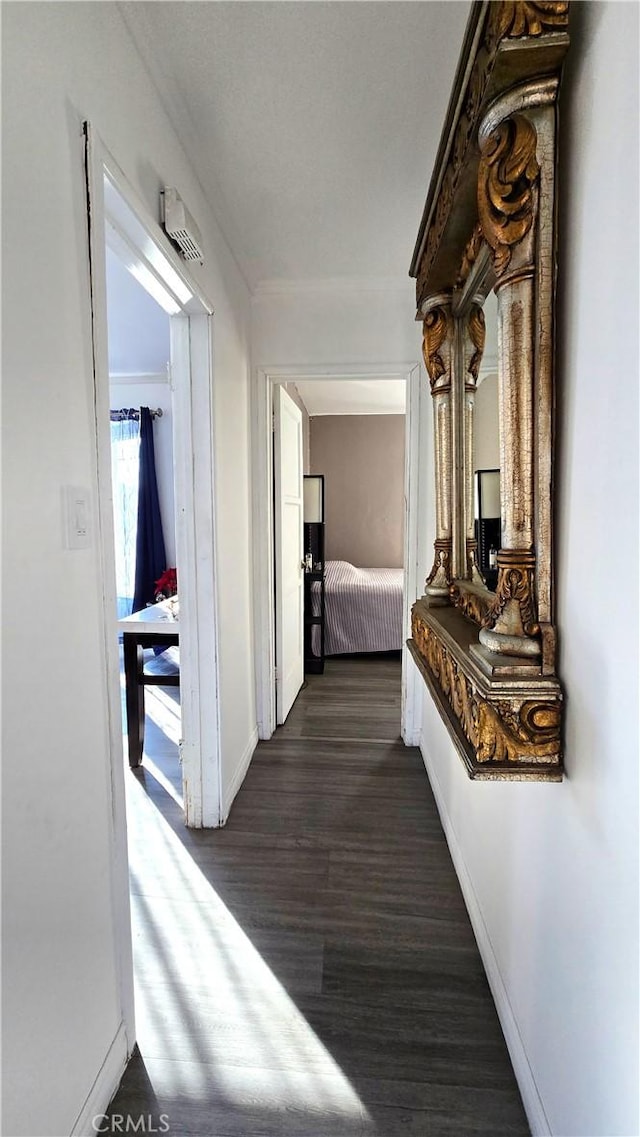 hall featuring dark hardwood / wood-style floors