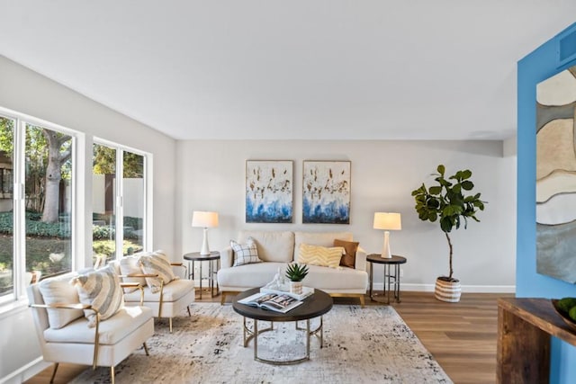 living room with hardwood / wood-style flooring