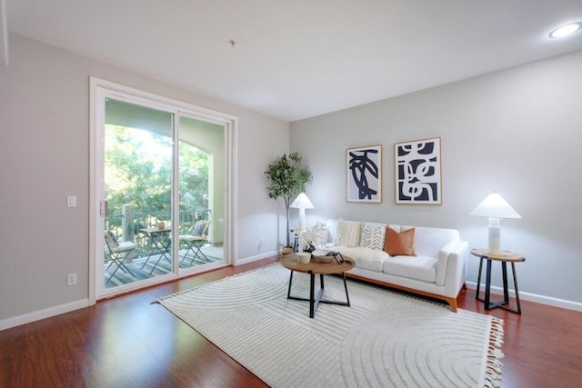 living room with wood-type flooring