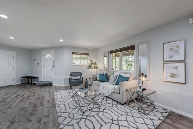 living room featuring hardwood / wood-style flooring