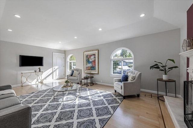 living room featuring a healthy amount of sunlight, a fireplace, and light wood-type flooring