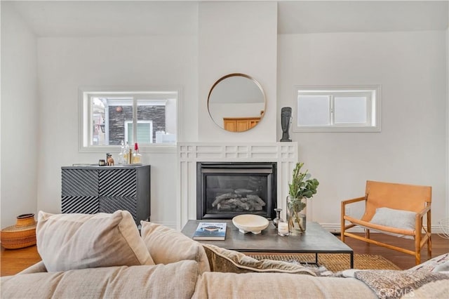 living room featuring hardwood / wood-style flooring