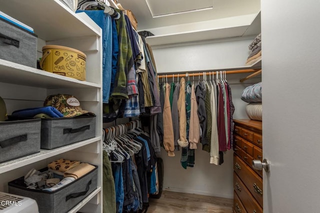 spacious closet with wood-type flooring