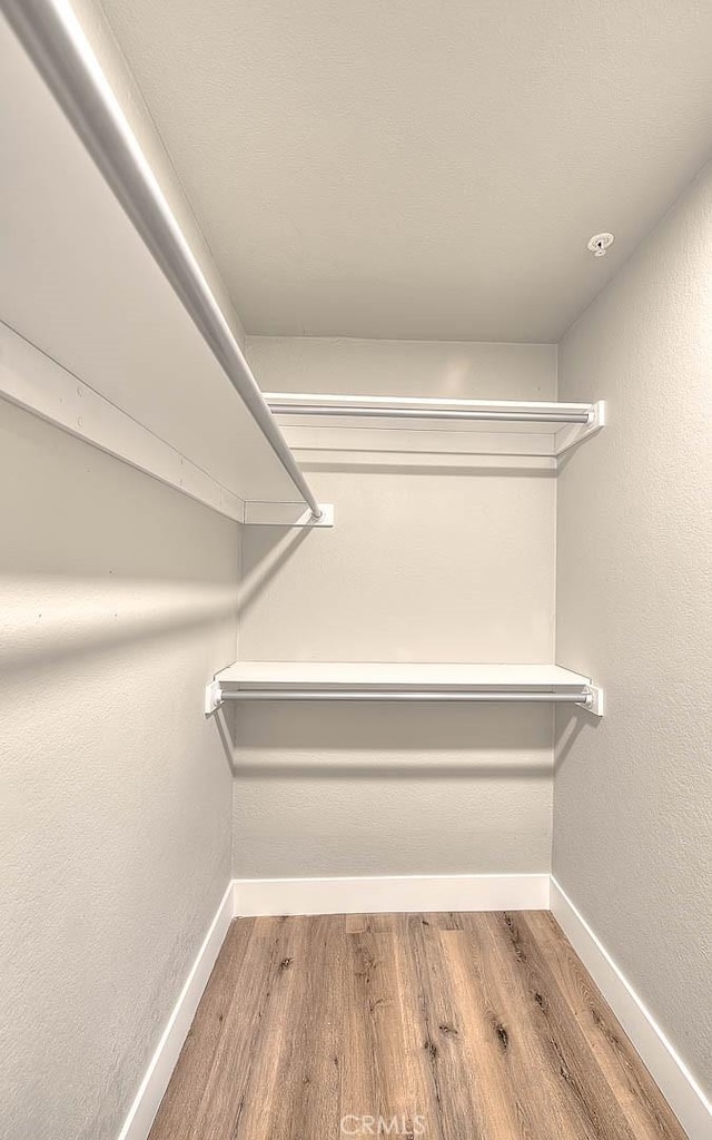 walk in closet featuring wood-type flooring