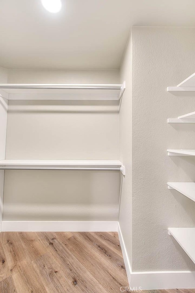 spacious closet featuring wood-type flooring