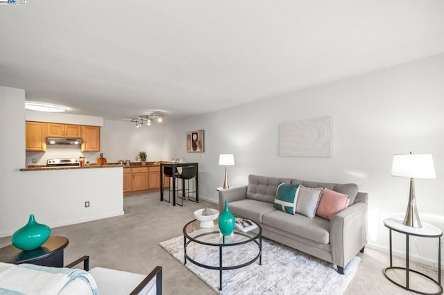 living room with light carpet