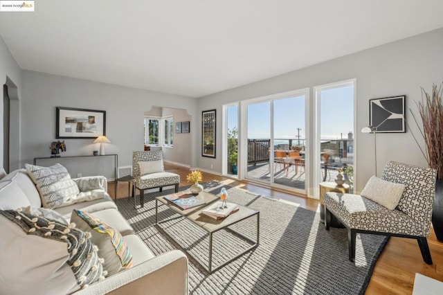 living room featuring hardwood / wood-style flooring